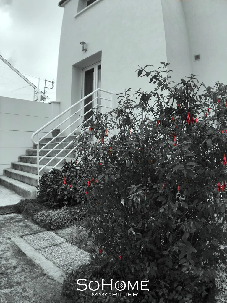 Photo-2.jpg