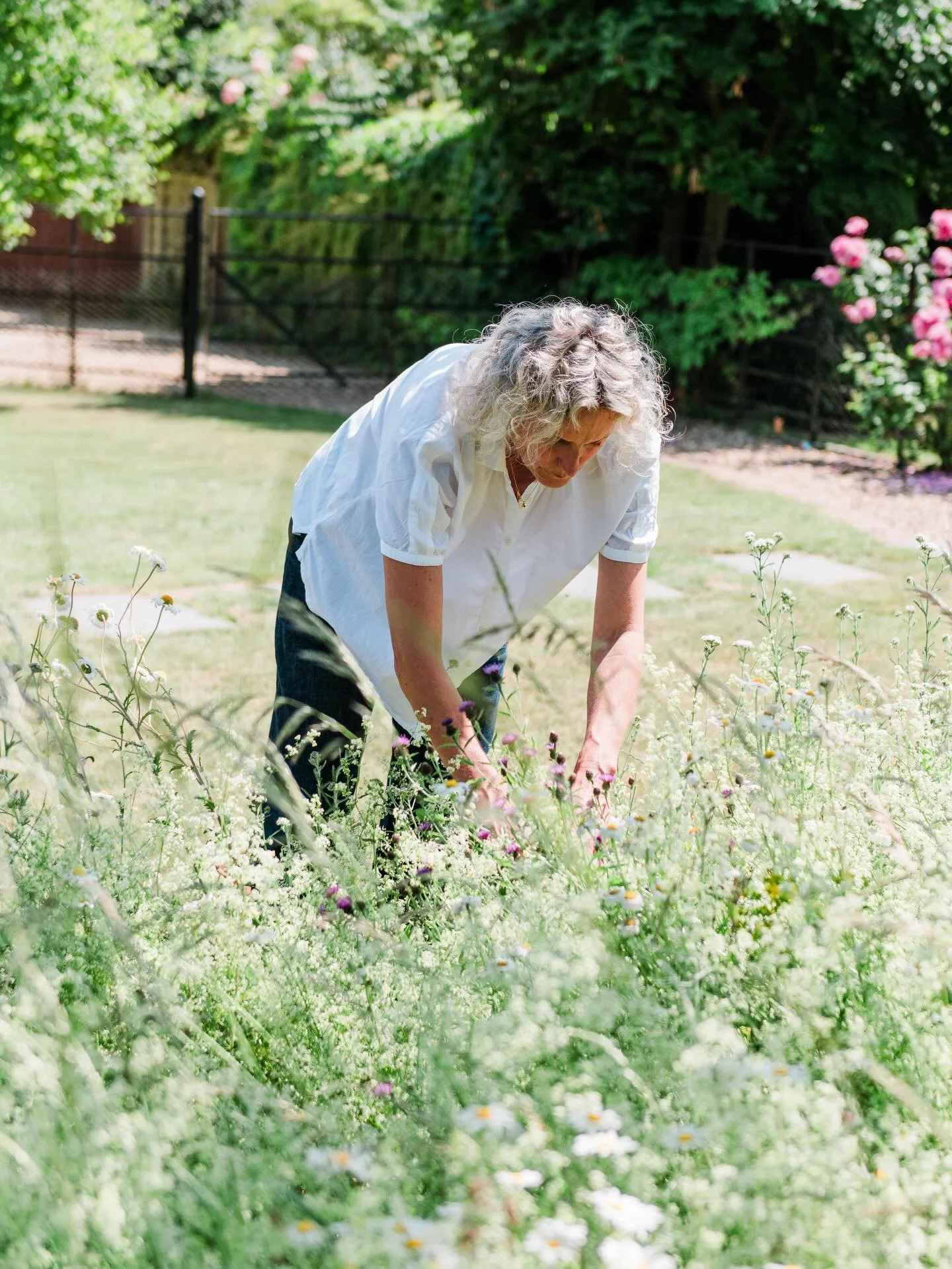 My little flowery enclave in Stamford, what a lovely commute to the garden studio. This year marks a decade of Madder Cutch &amp; Co - 10 years of hand printing linen with plant based dyes!🥳 We have been perfecting our craft for quite a while. 

#na