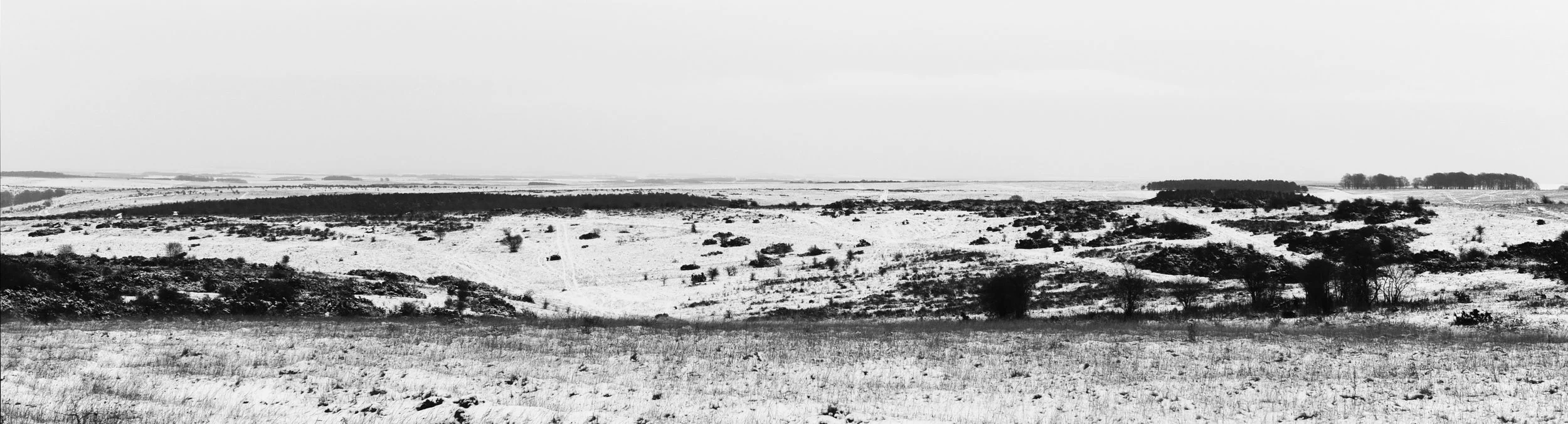 _DSC6124  D FROM C .jpg