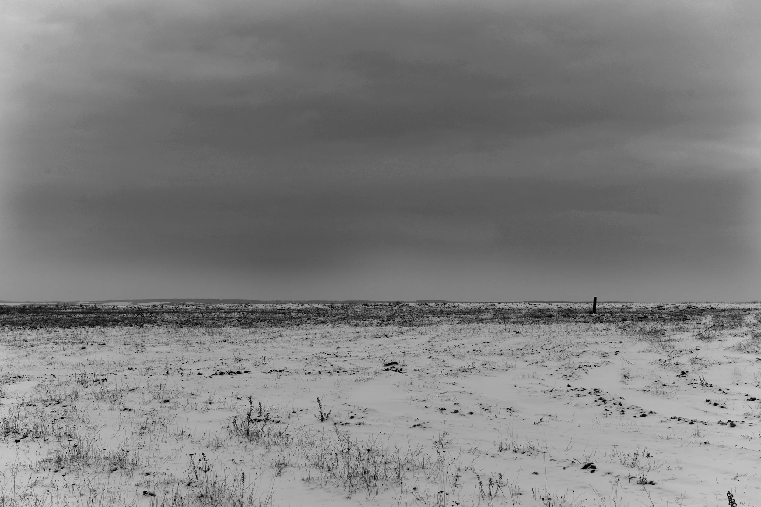 _DSC6121 B   B and W.jpg