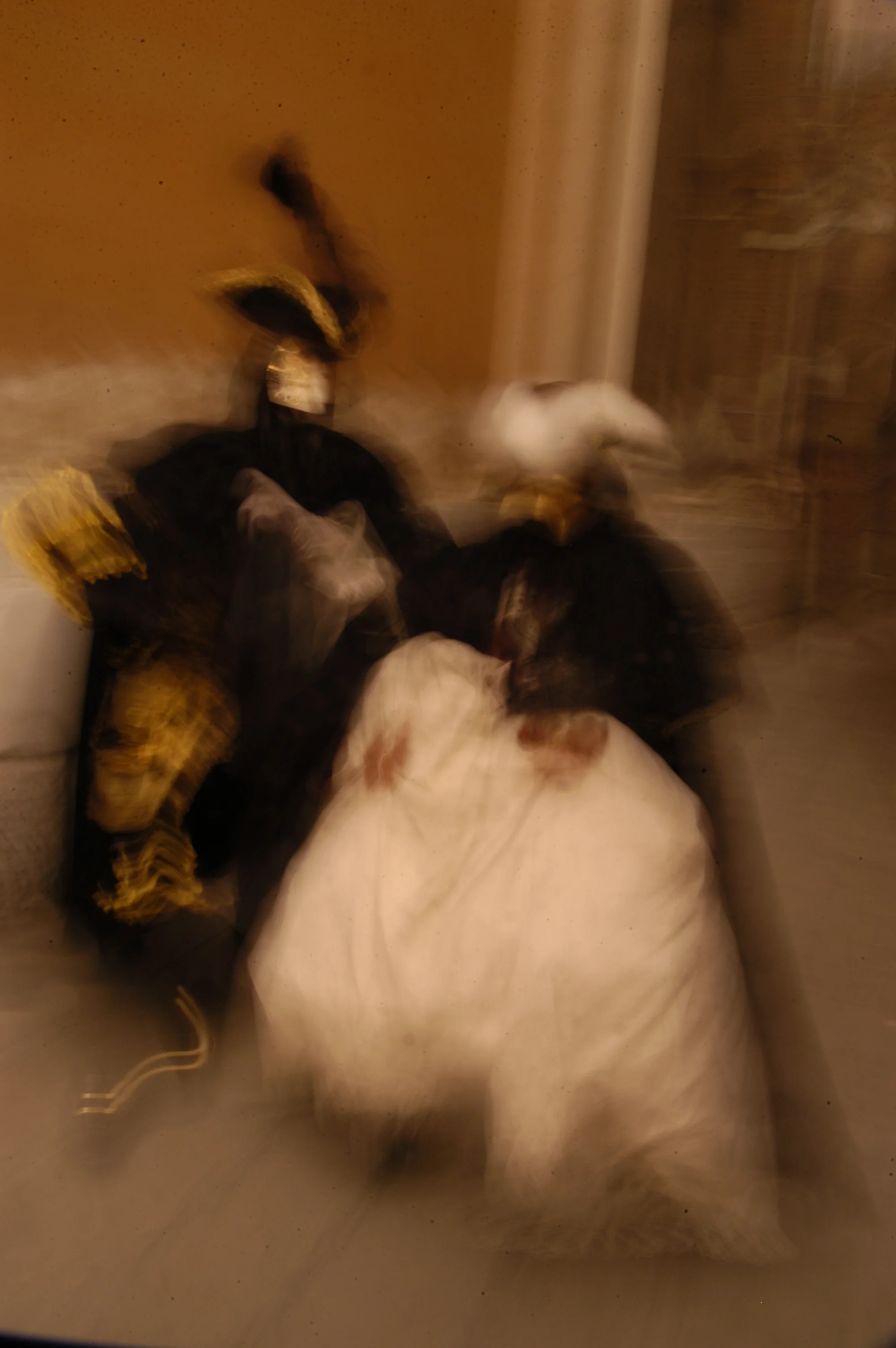 DSC_7394.JPG