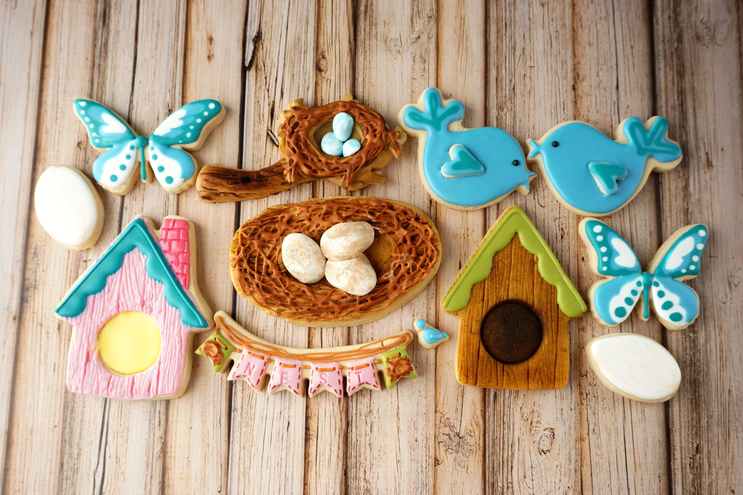 Spring Nesting Decorated Cookie Collection