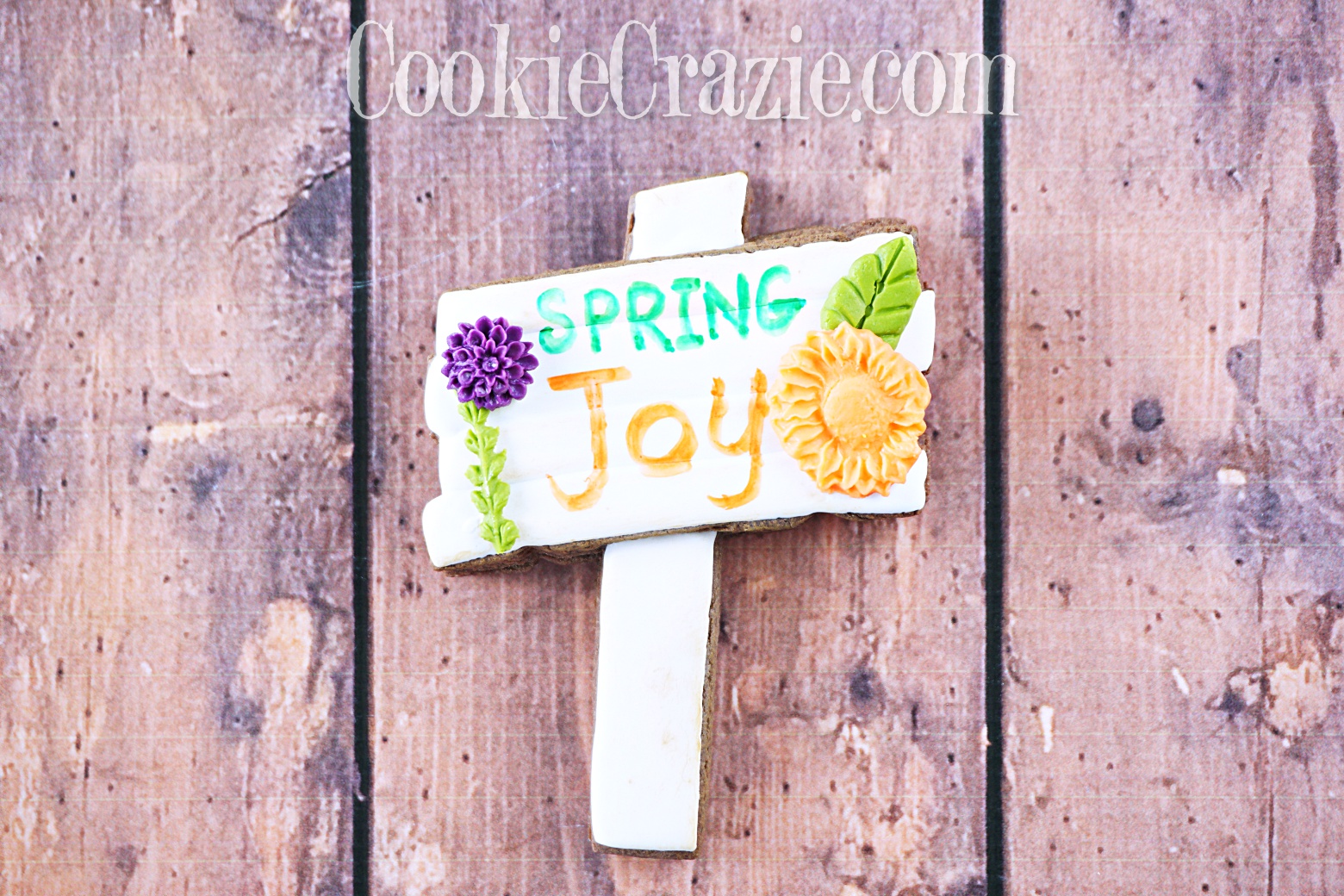  Spring Joy Wooden Sign Decorated Sugar Cookie YouTube video  HERE  