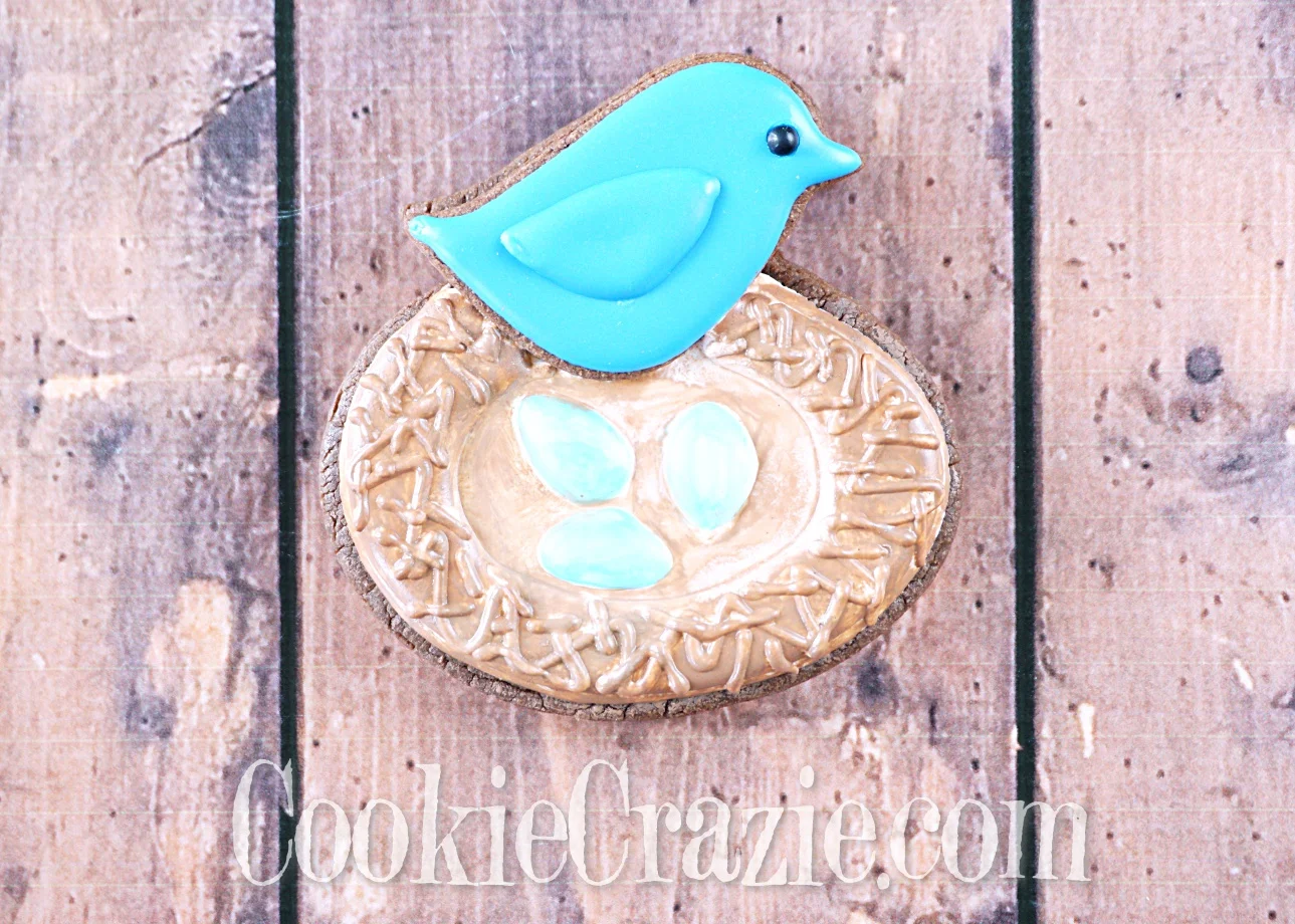 Bird's Nest Decorated Sugar Cookie