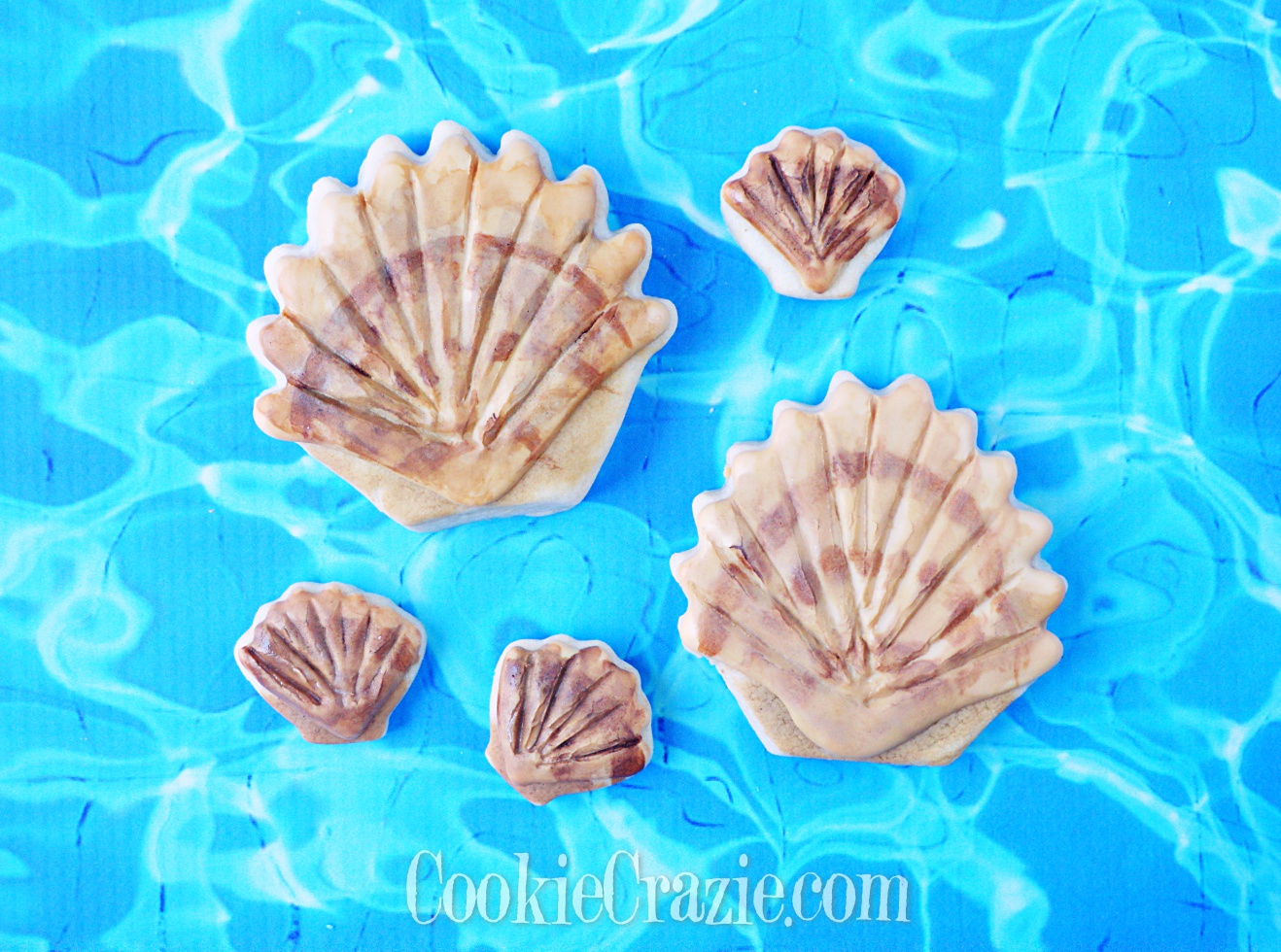  Seashell Decorated Sugar Cookie YouTube video  HERE  