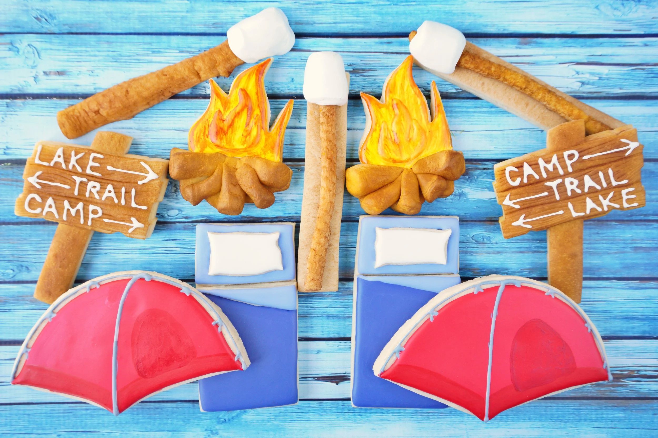 NEW CookieCrazie Online Decorating Class: Camping Cookies