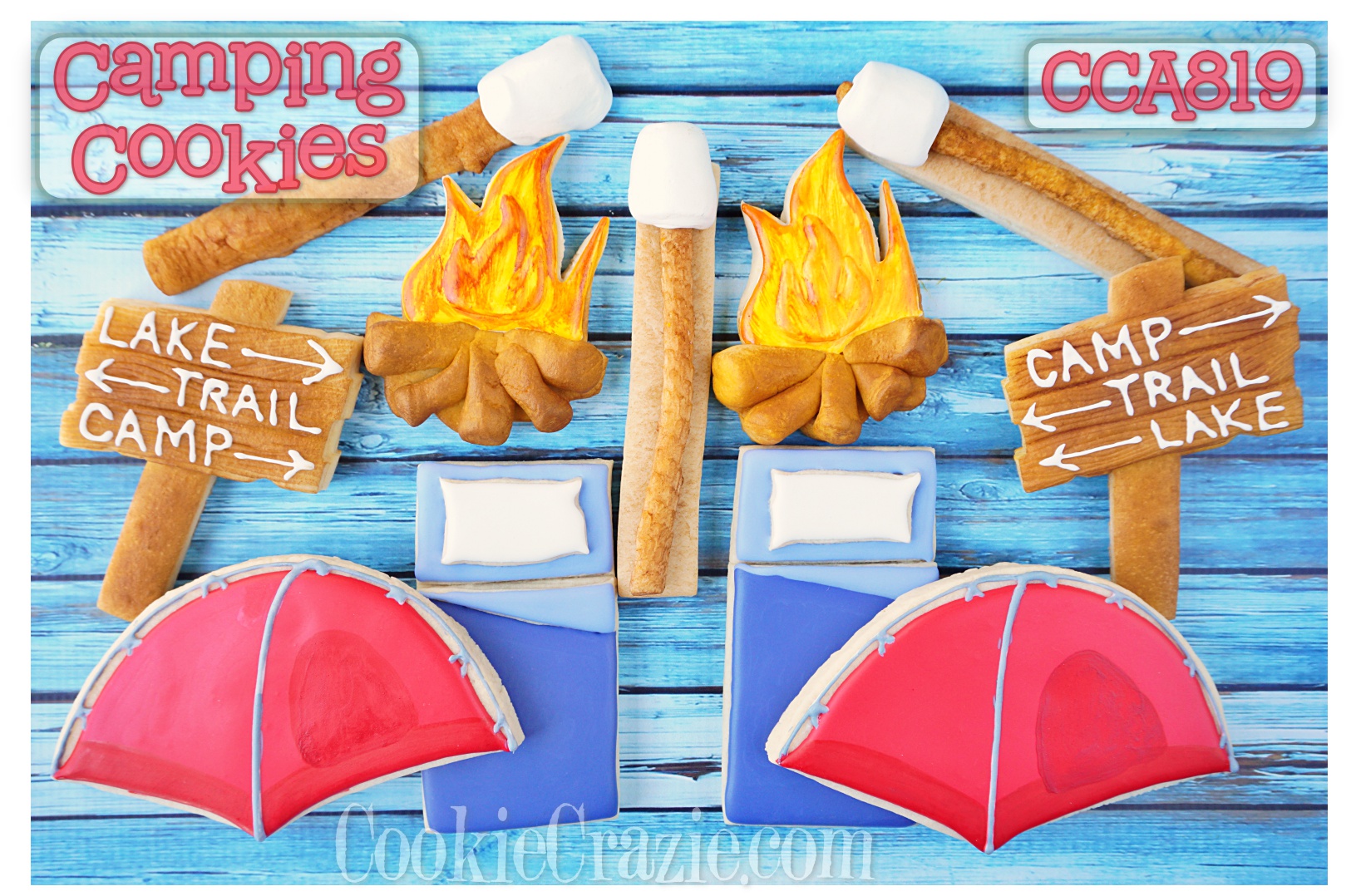 CCA819: Camping Cookies Decorating Class - August 2019
