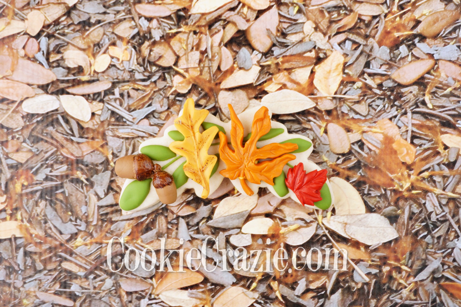  Autumn Leaf Flourish Decorated Sugar Cookie YouTube video  HERE  