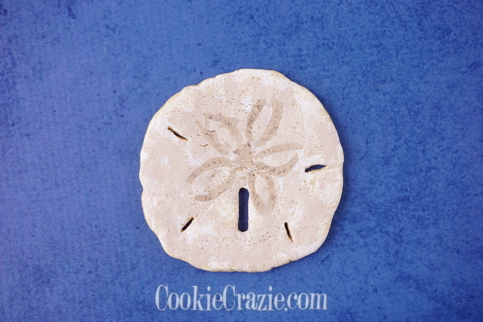  Sand Dollar Decorated Sugar Cookie YouTube video  HERE  