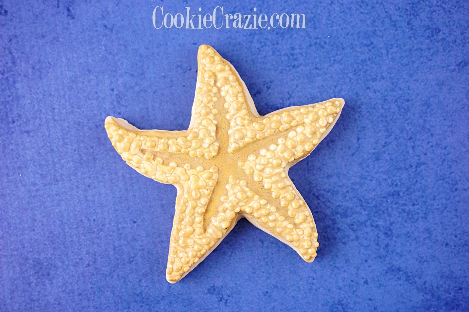  Starfish Decorated Sugar Cookie YouTube video  HERE  