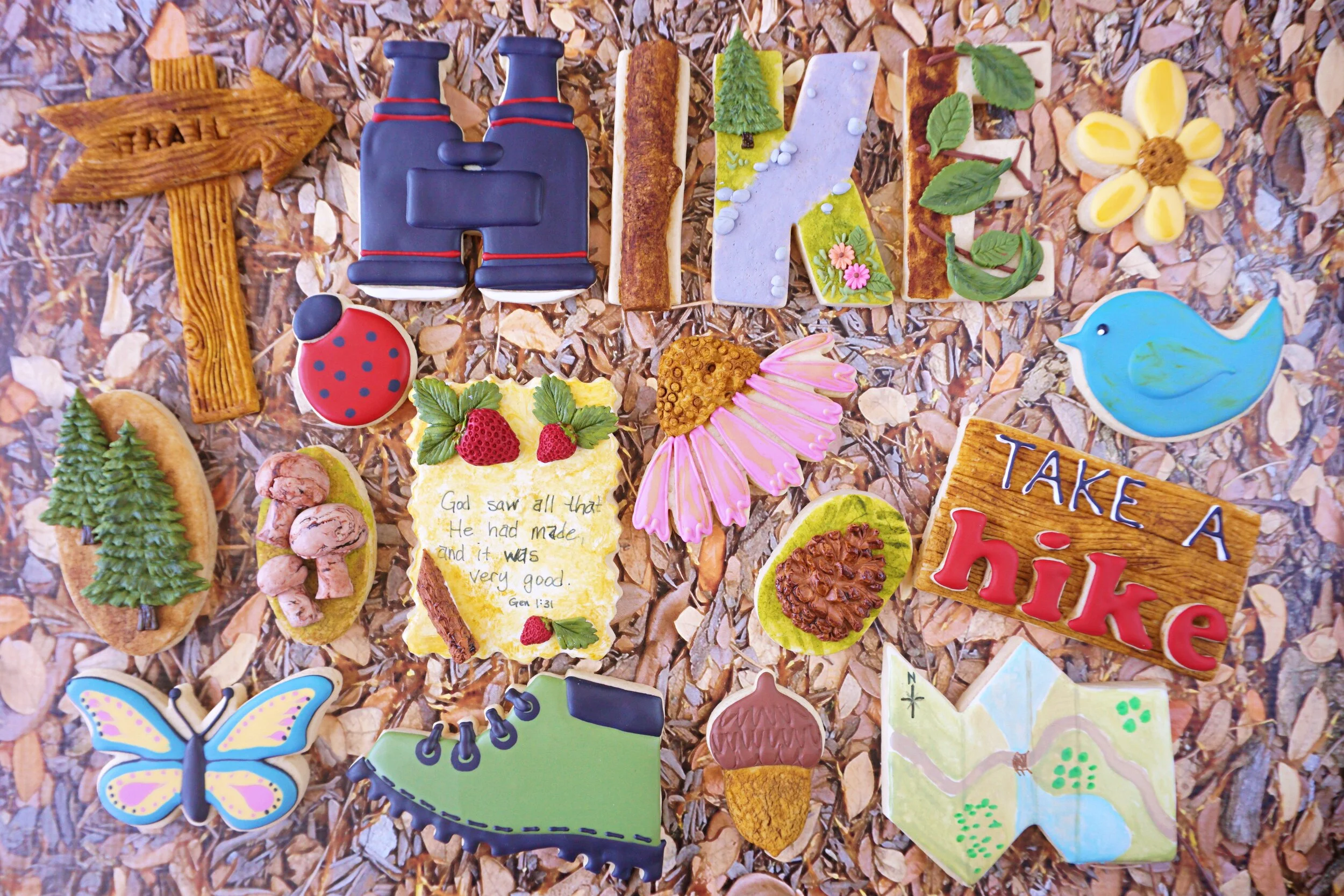 Take A Hike Decorated Cookie Collection