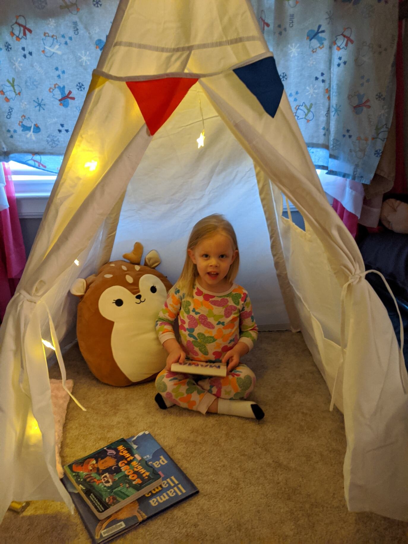  This is the teepee that Grandpa and Grammy (that’s me!) gave her for her 3rd birthday. As you can see, she loves it and it will definitely make a great booknook for her. :) 