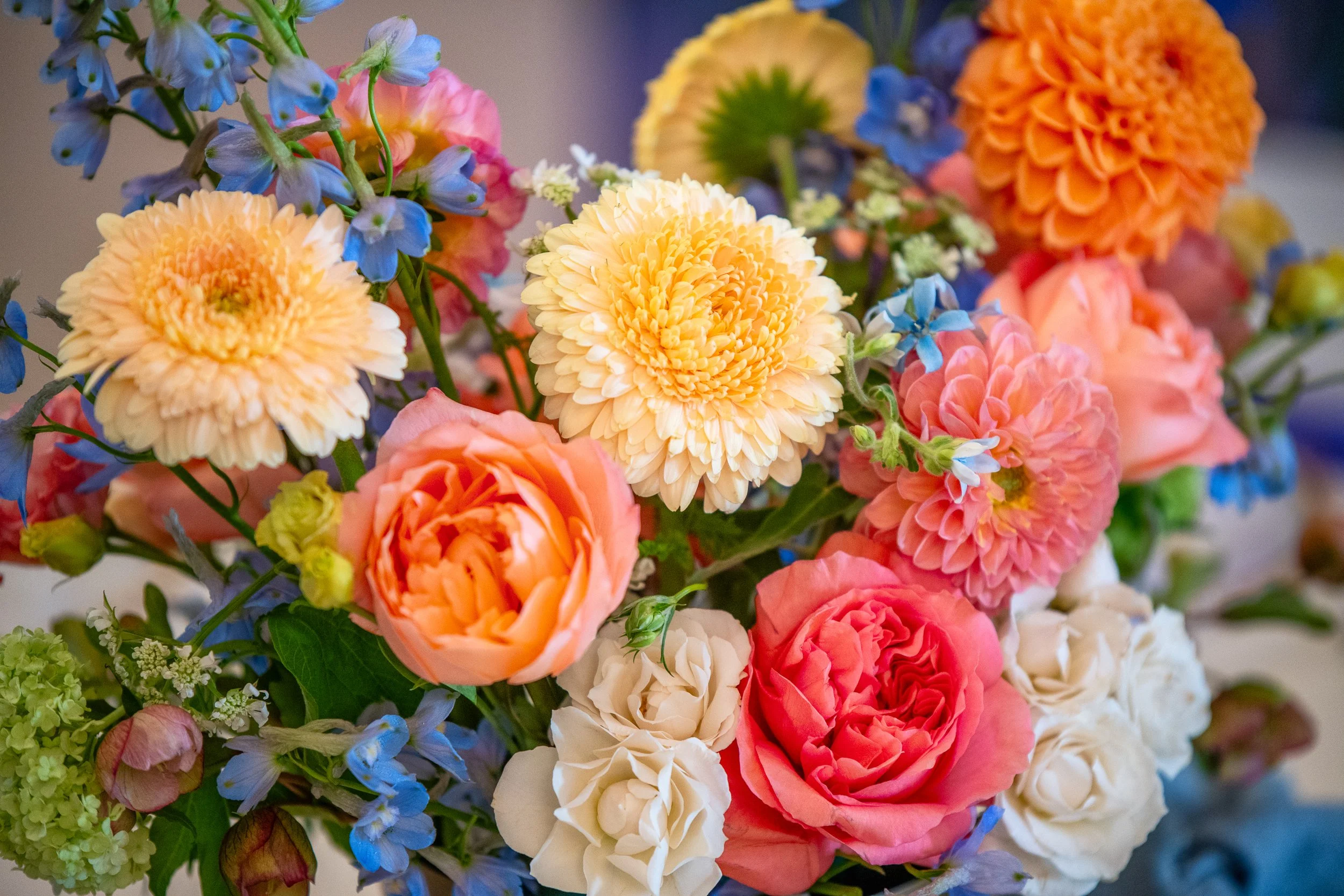 KAYLA'S BAT MITZVAH854.jpg