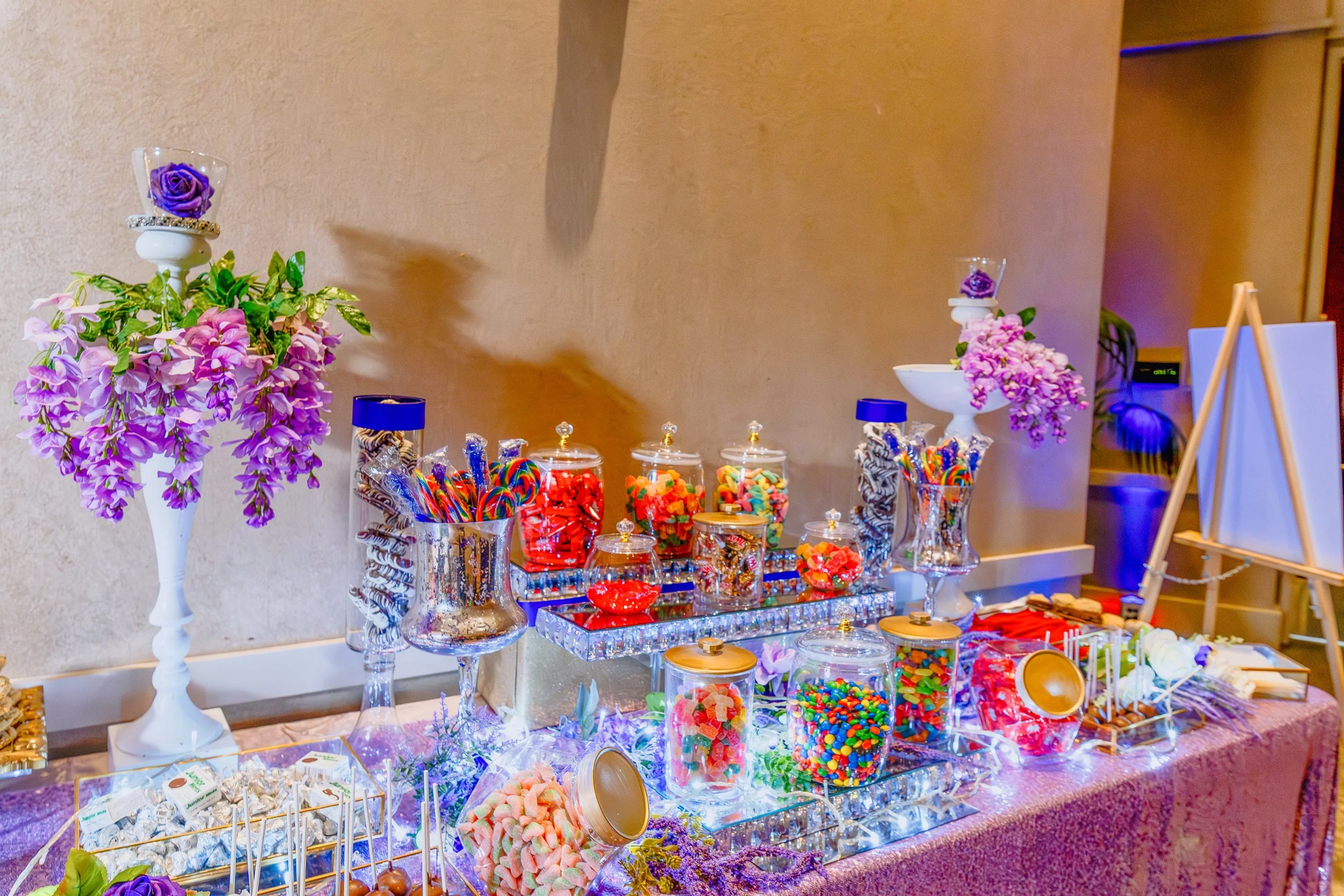 ELIANA'S BAT MITZVAH0500.jpg