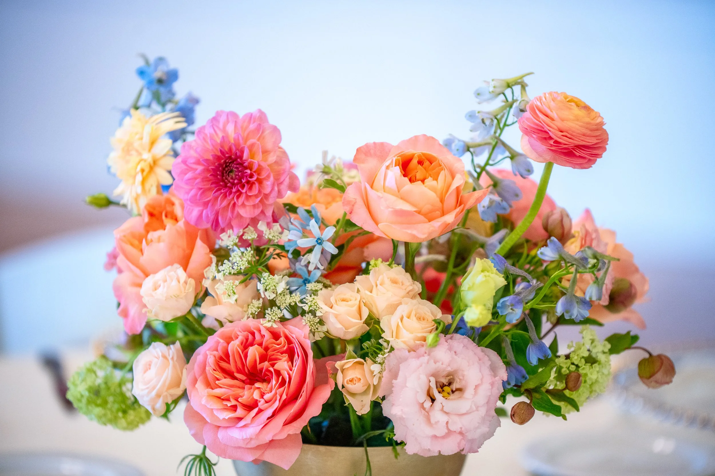 KAYLA'S BAT MITZVAH850.jpg