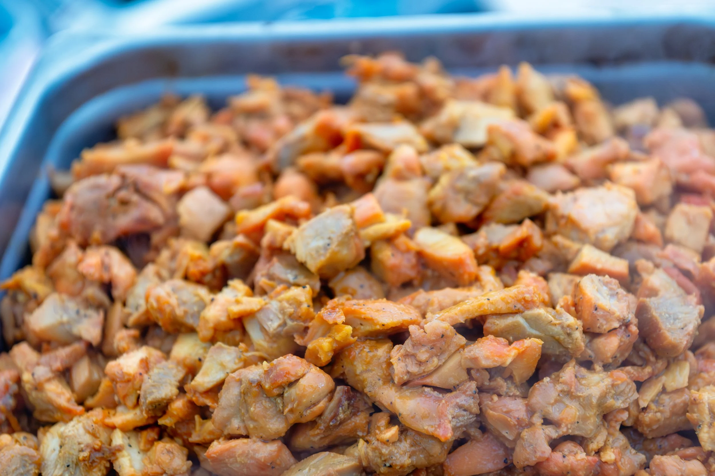 ELIANA'S BAT MITZVAH0481.jpg