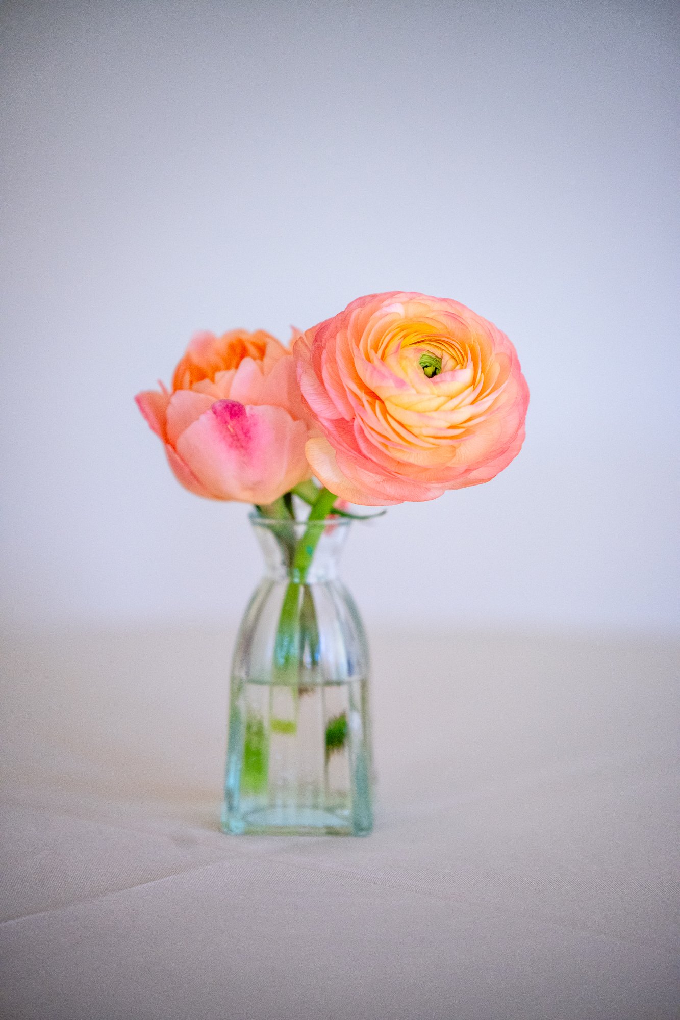 KAYLA'S BAT MITZVAH863.jpg