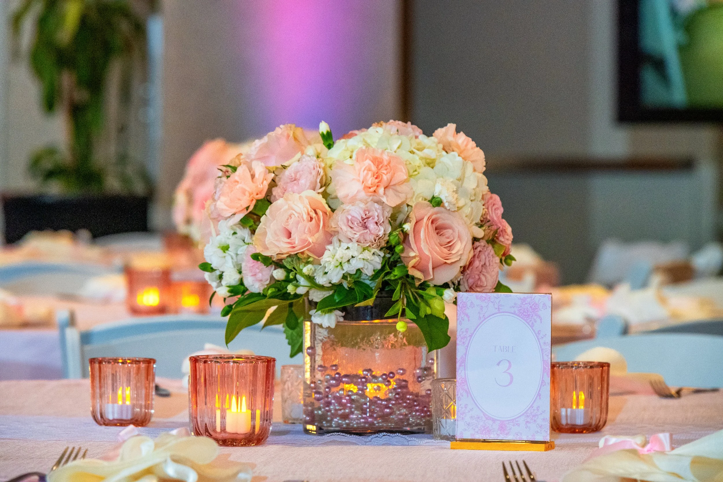 KAYLA'S BAT MITZVAH  WEB0019.jpg