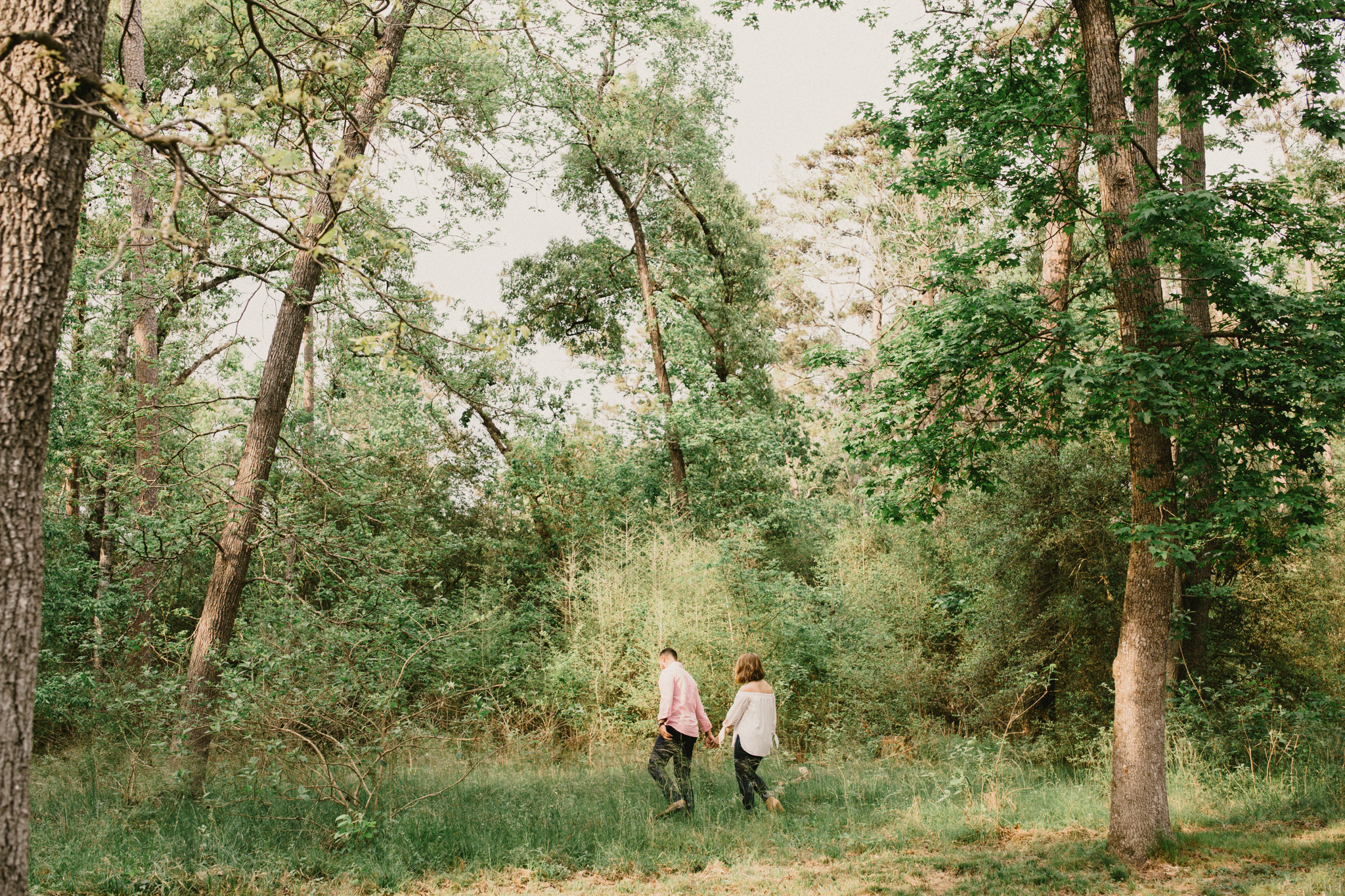forest engagement.jpg