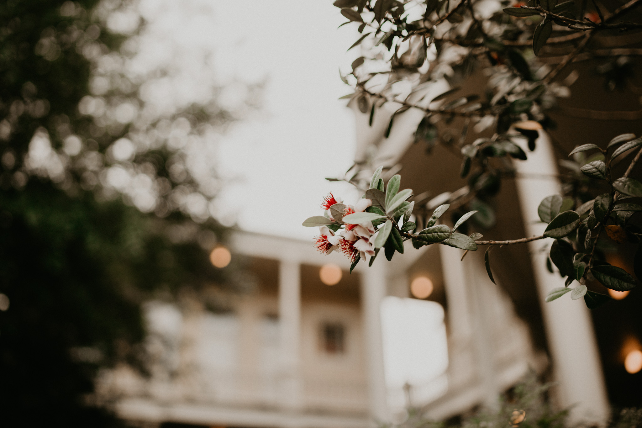 Friedrich -- Historic Home Wedding-111.jpg