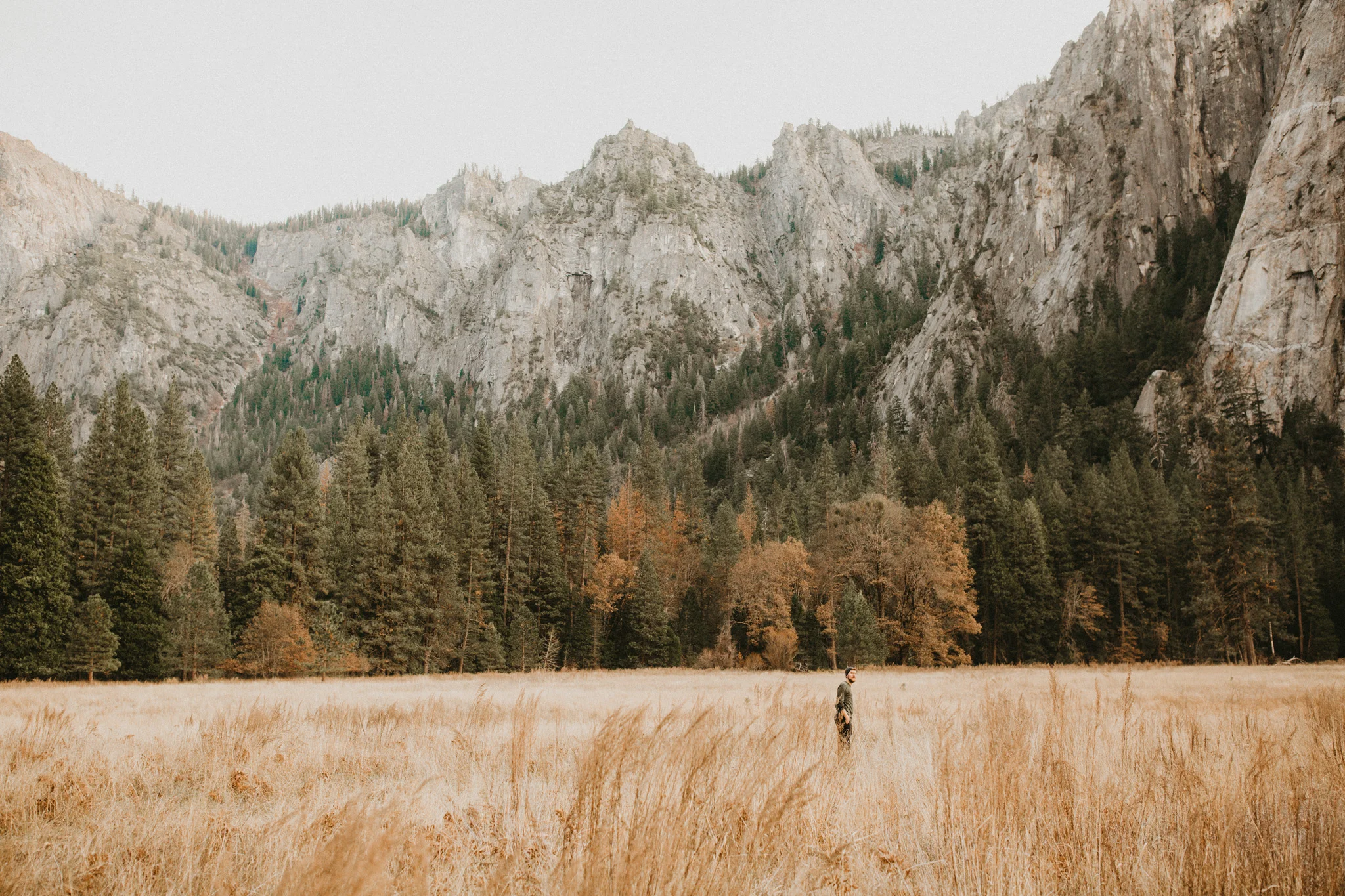 Yosemite 2017-3.jpg