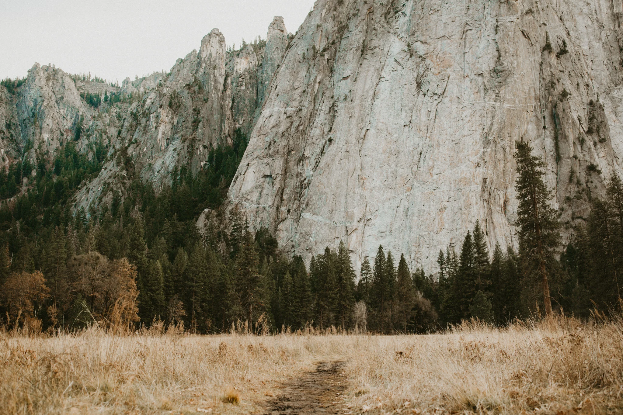 Yosemite 2017-4.jpg