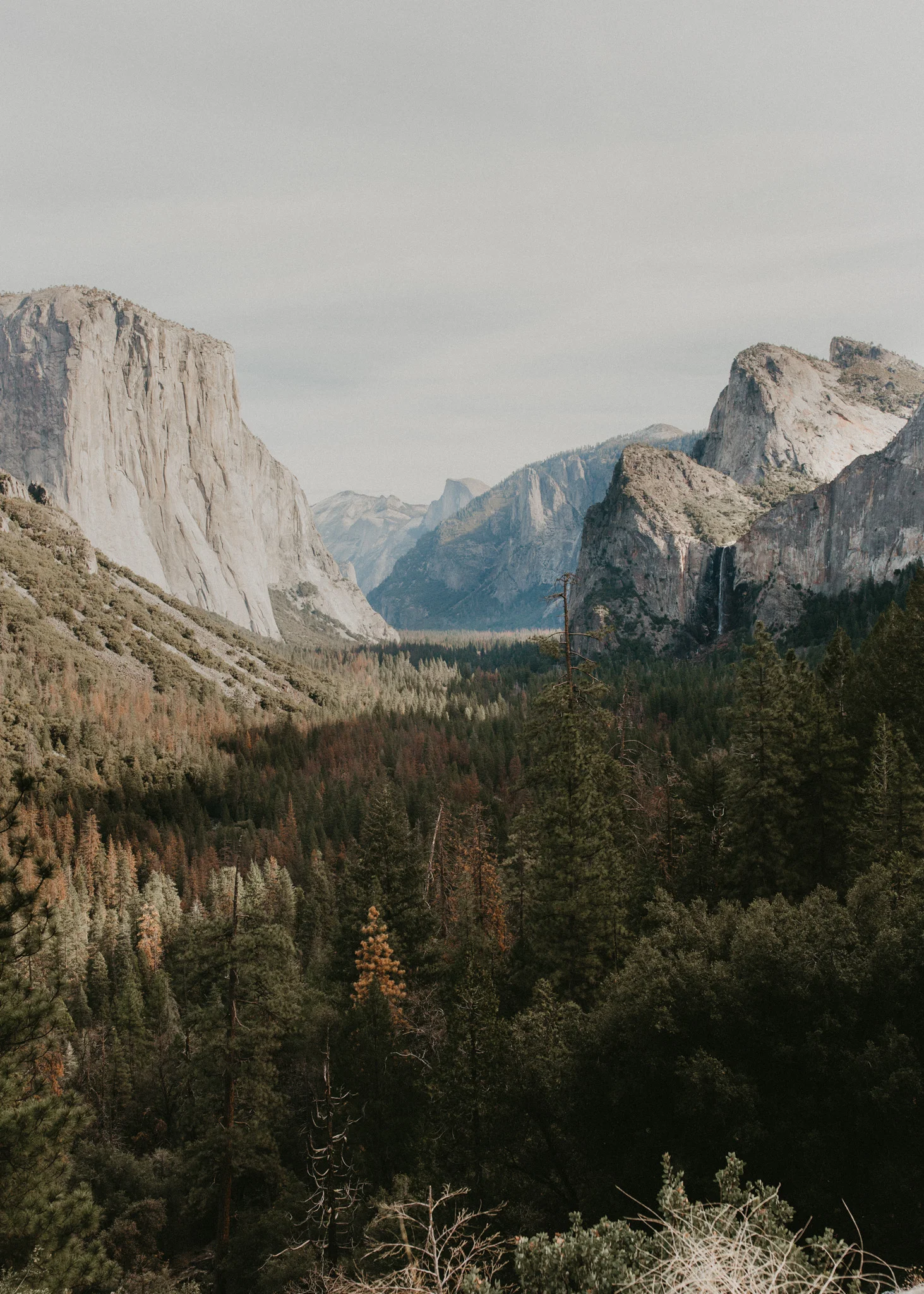 Yosemite 2017-9.jpg