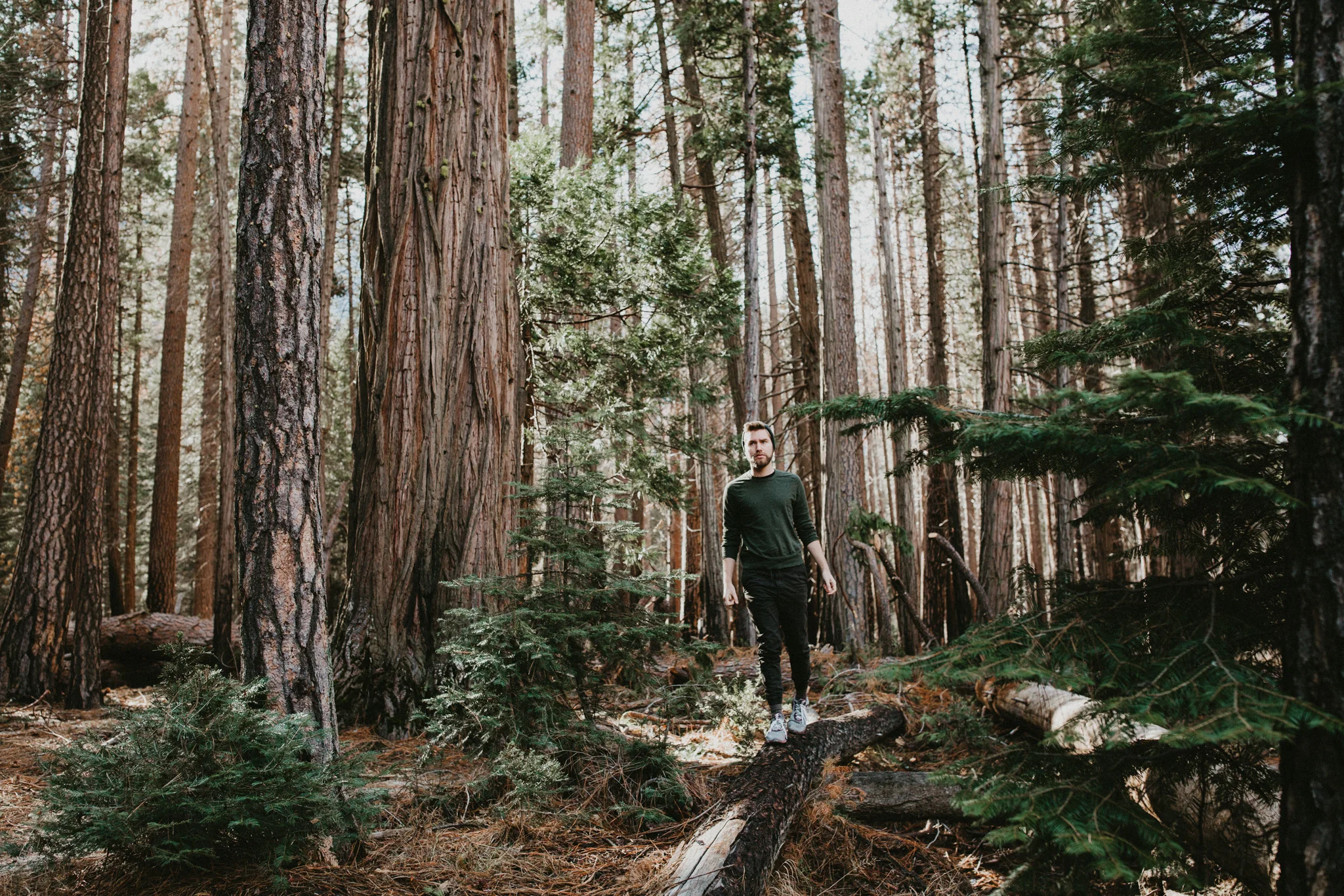 Yosemite 2017-8.jpg