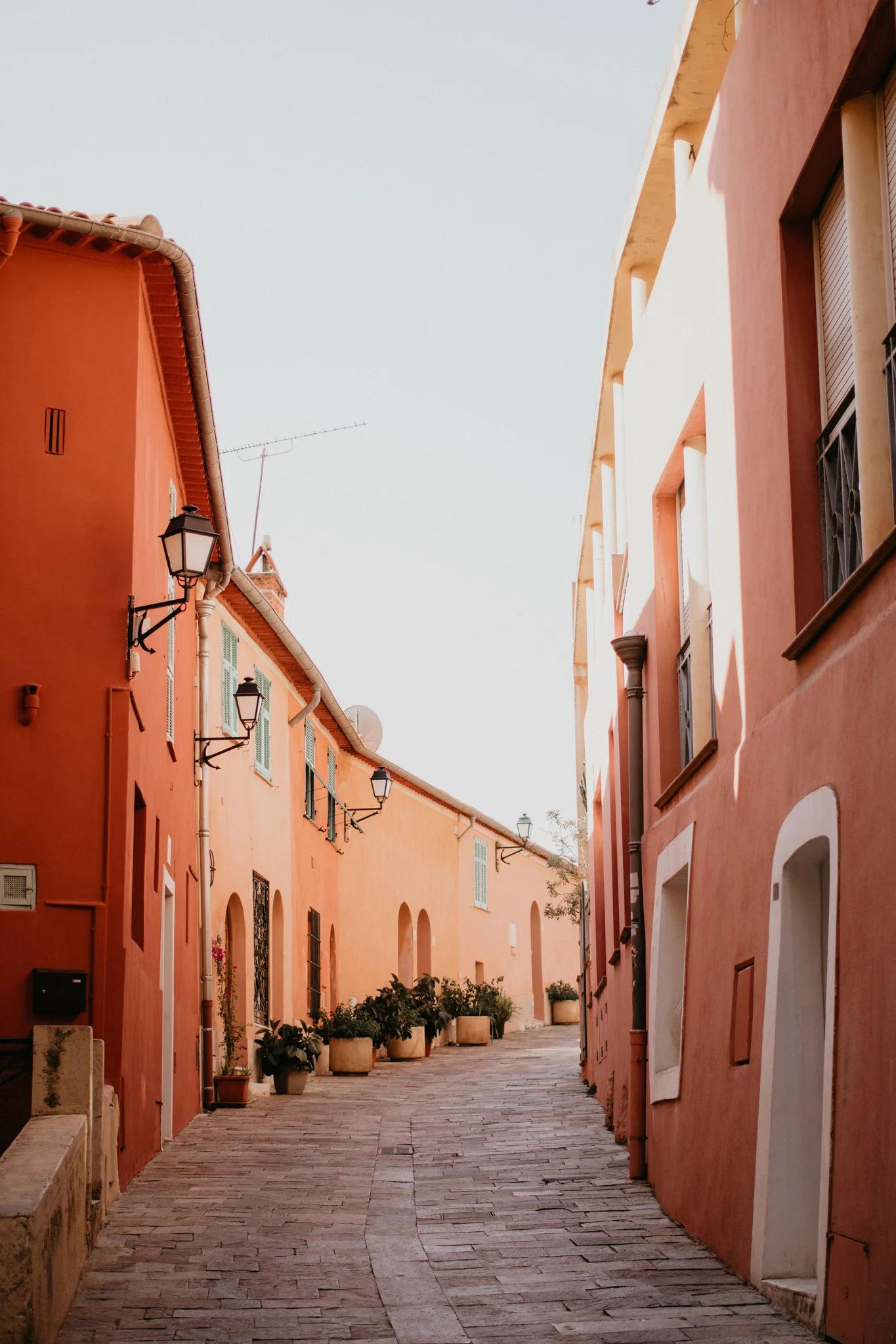 Destination Wedding Photographer Century Tree Productions in France