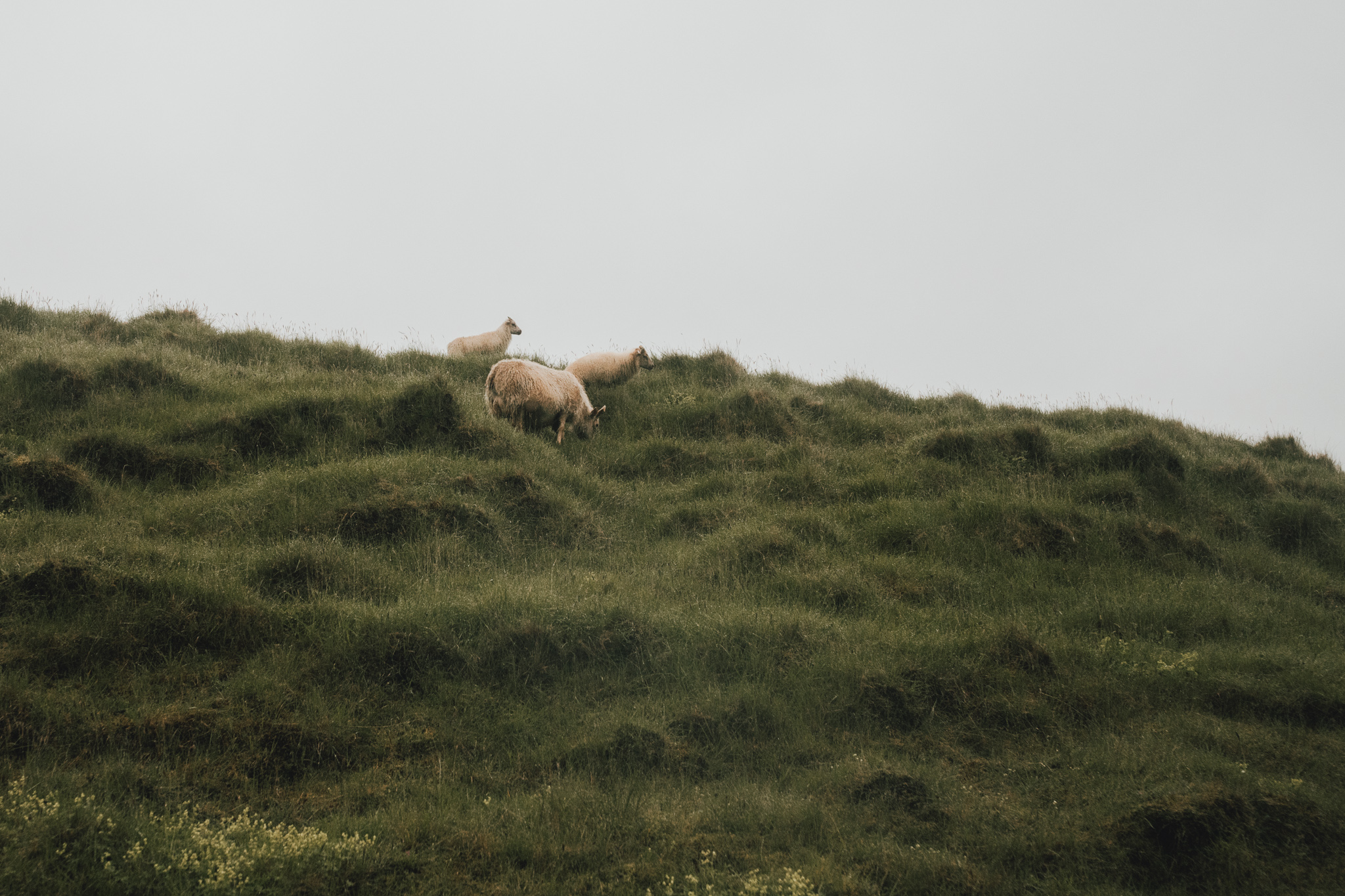 Iceland Southern Coast.jpg