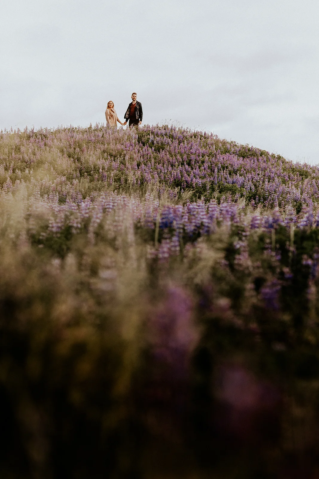 iceland0004.jpg