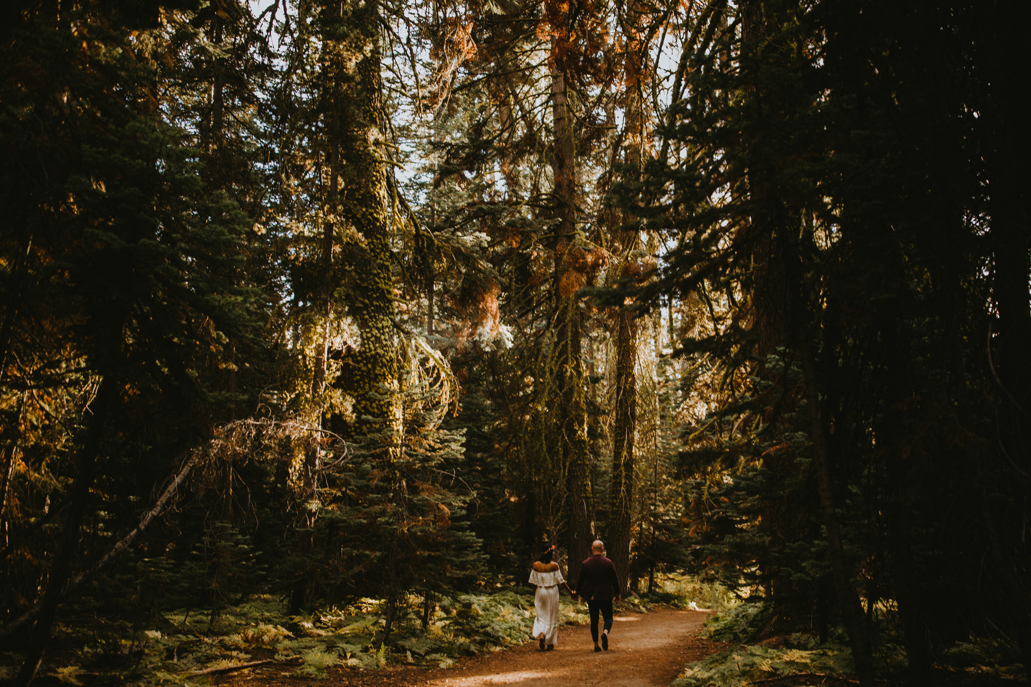 Yosemite Elopement Sunset Taft Point-13.jpg