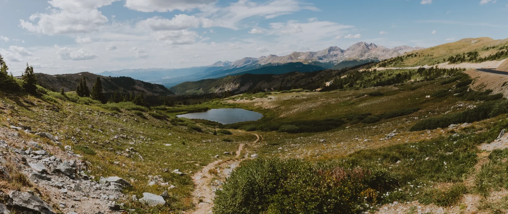 Century+Tree+Co.+Buena+Vista+Aug2019-28.jpg