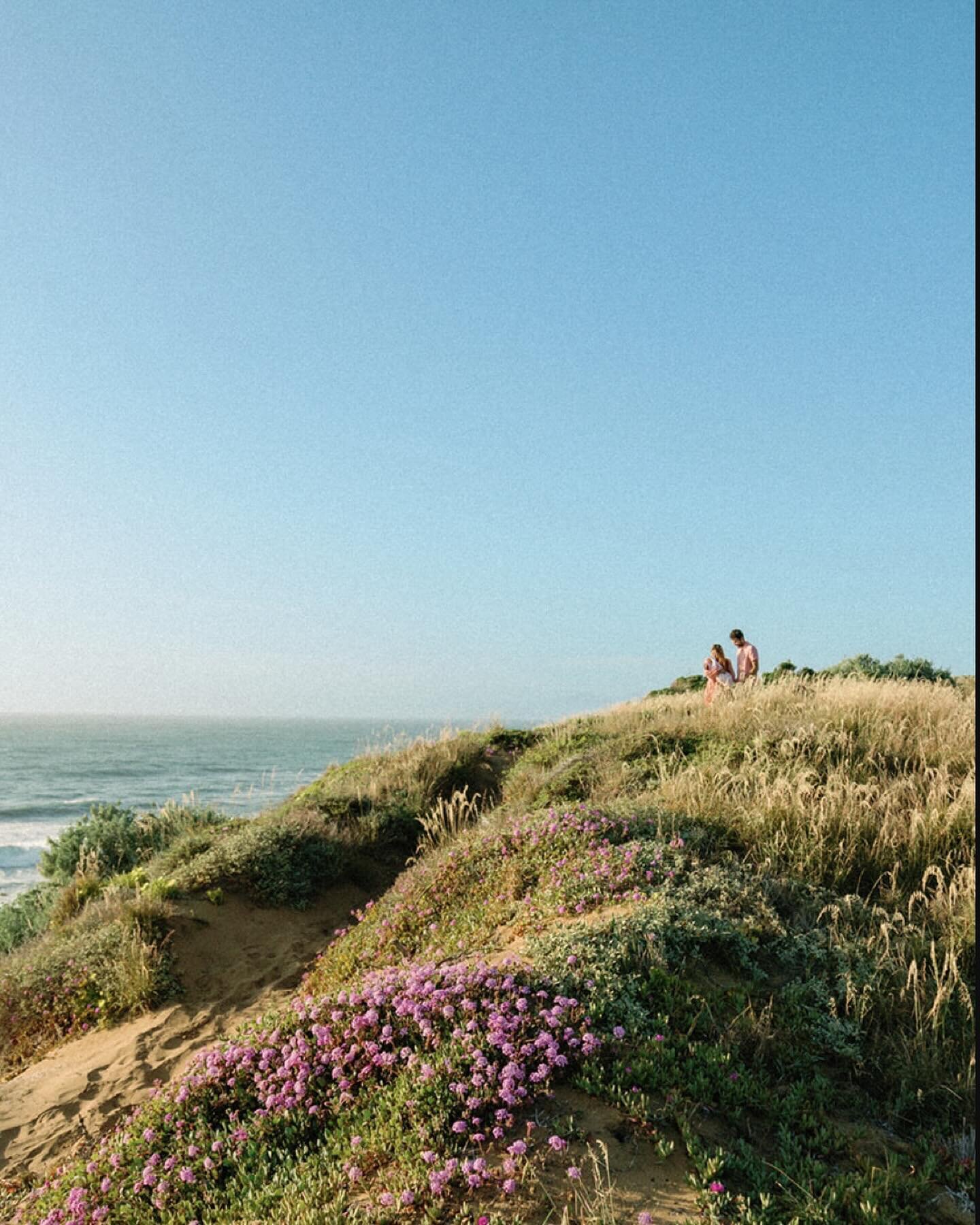 If you dream of California beach portraits &mdash; w/your family, an elopement, or an engagement, I offer a biiig discount 🙂👐🏼👏🏼

my mom lives only few minutes away from this beach in the San Luis Obispo/Morro Bay area, which means you can eithe