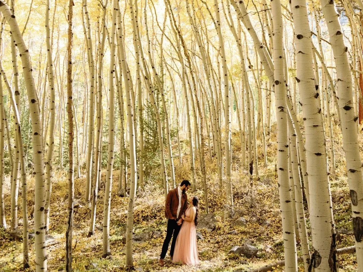 Buena Vista, Colorado Engagement, Fall Aspens, Century Tree Co.