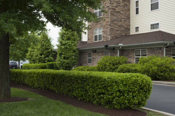 Lush and well-manicured landscaping creates a professional and welcoming look for this business.