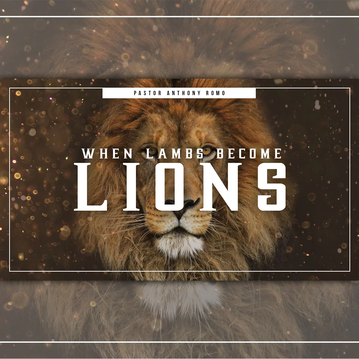 Lions.jpg