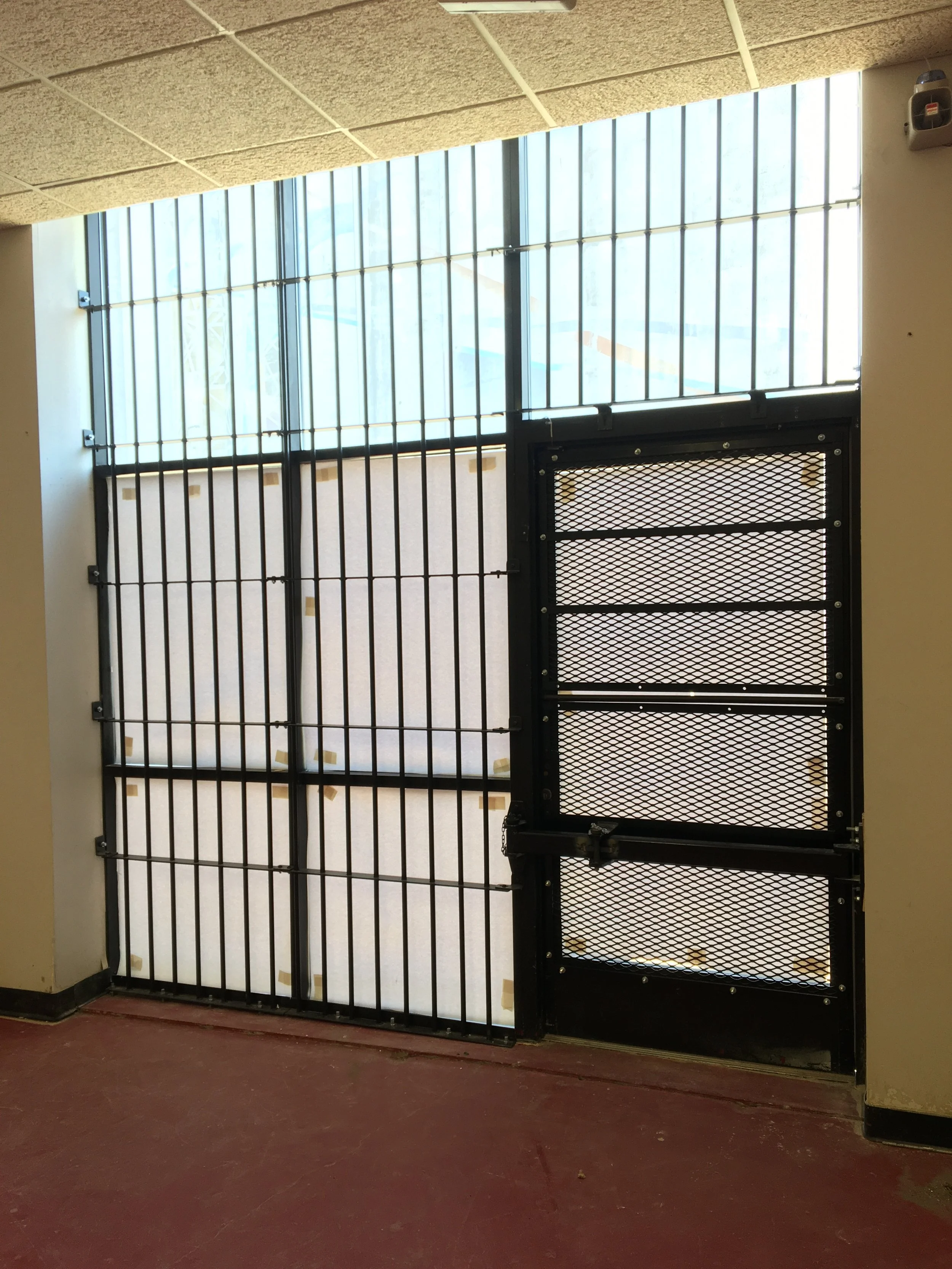 Security bars and door grate
