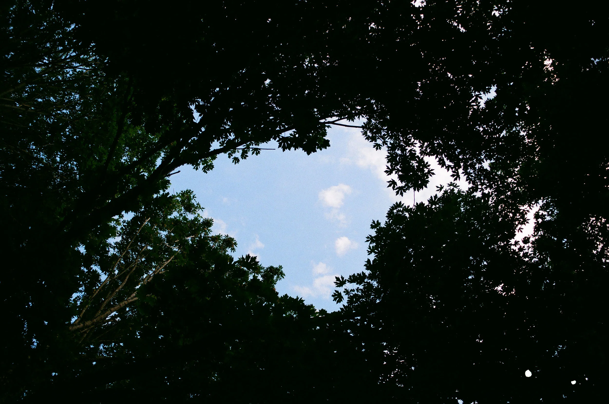 46940015.jpg