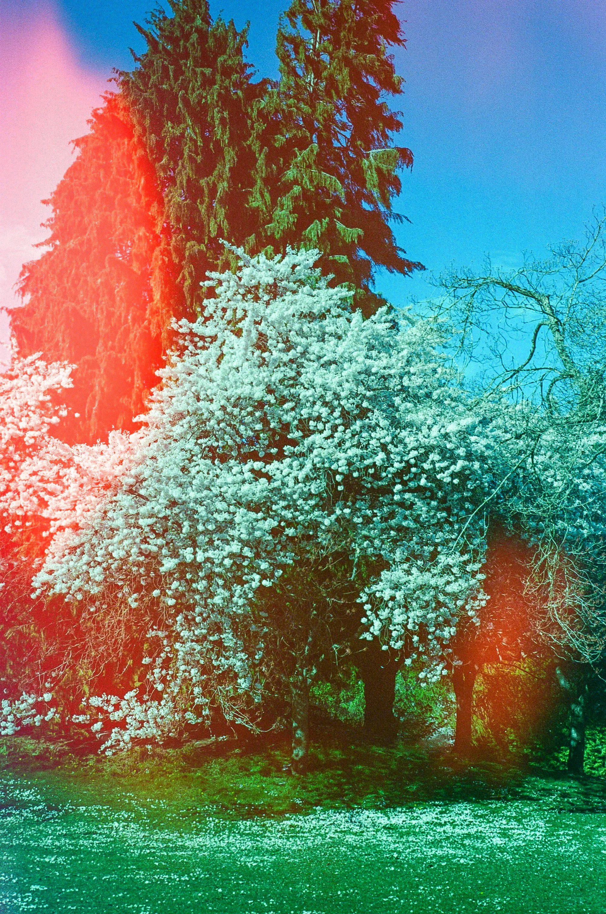 Scan30082.jpg