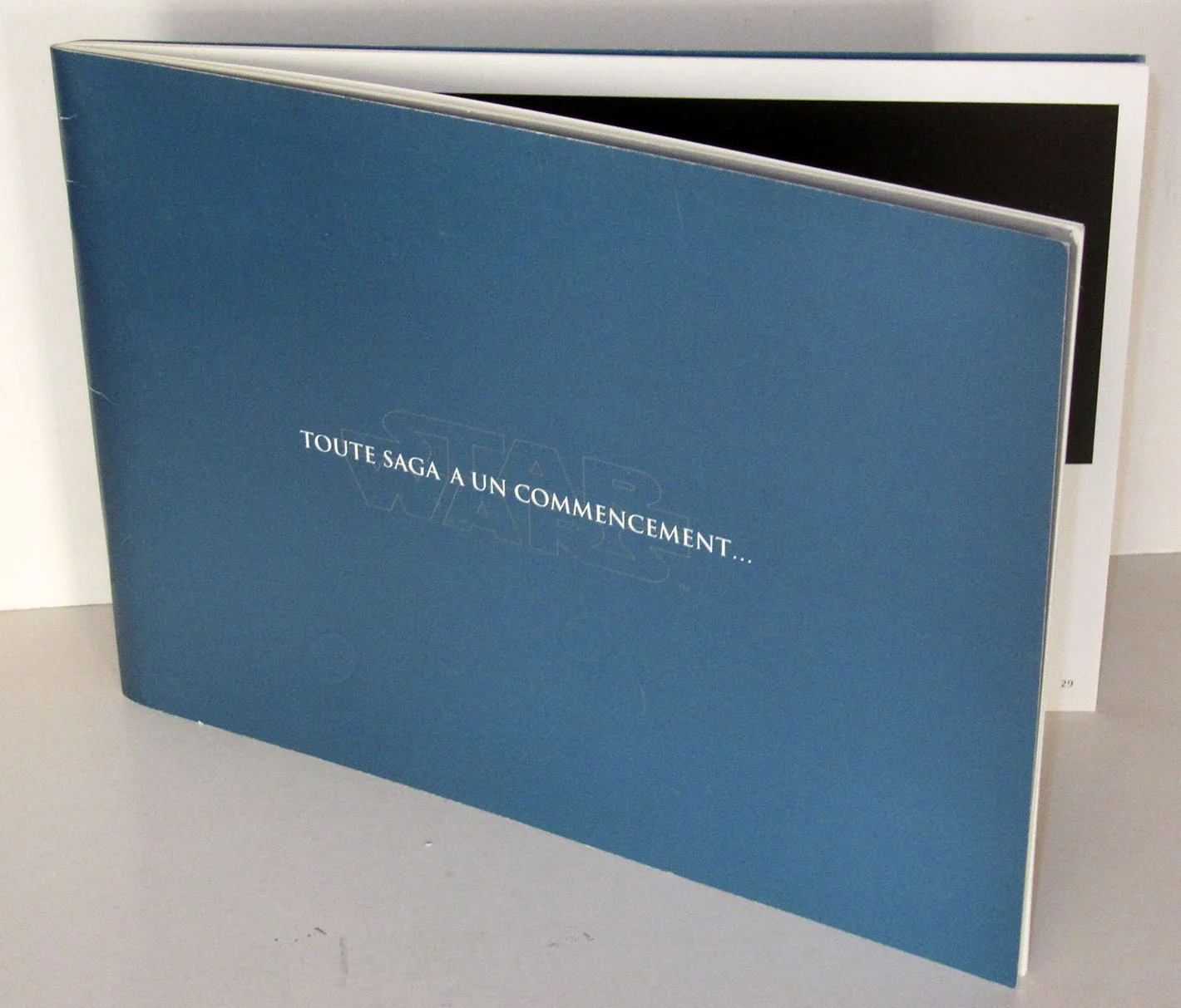 TPM French Pressbook (Stephane Faucourt).jpg