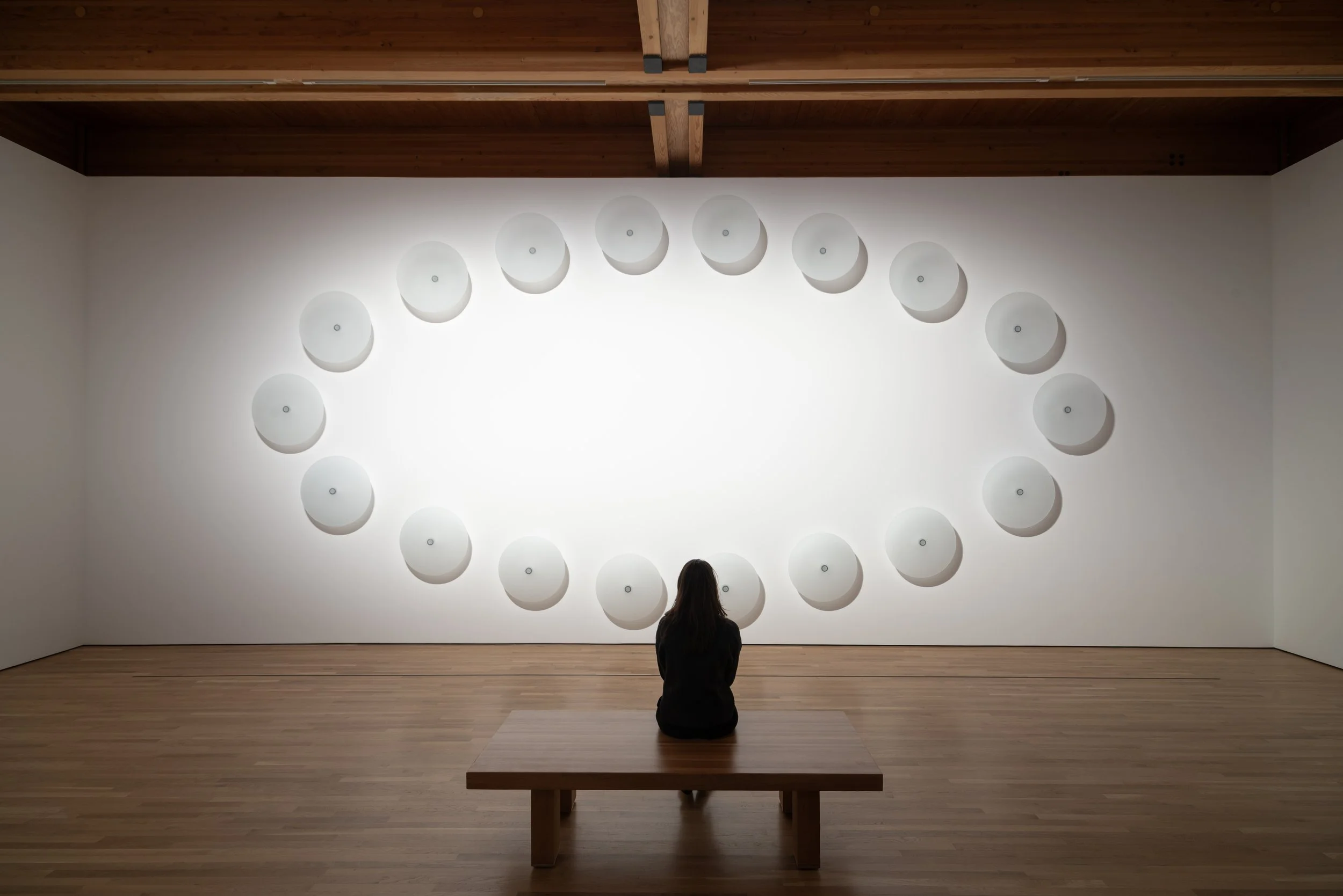  Kiln formed, blown and coldworked glass, steel  420 x 825 x 25 cm  2007  Collection of the Museum of Nebraska Art  Image: Larry Gawel 