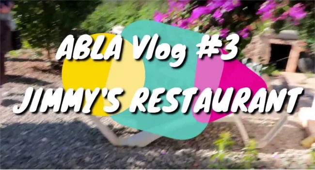 vlog 3 650px.jpg