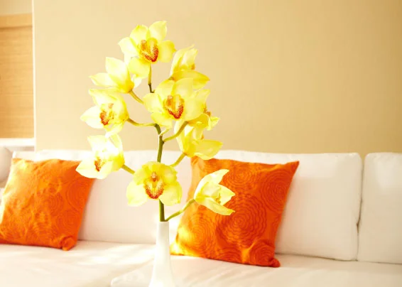 Flowers in Vase istock.jpg