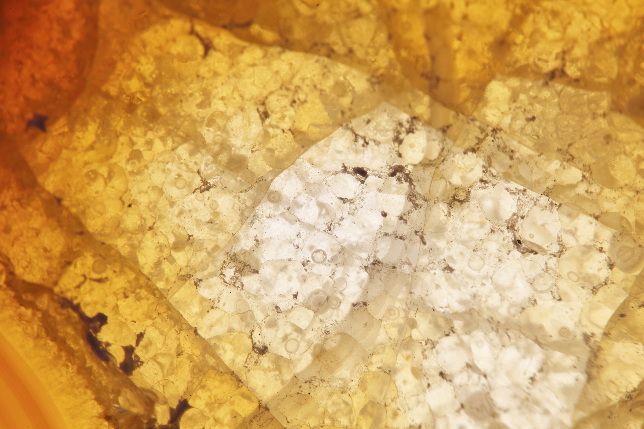 iStock_414_000033462680XXXLarge Gemstone Pattern.jpg
