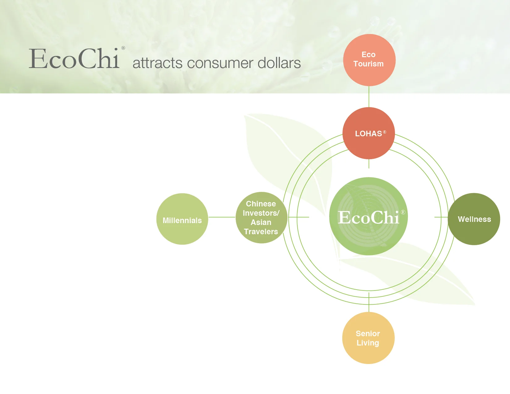 Value Proposition_2019_07_127.jpg