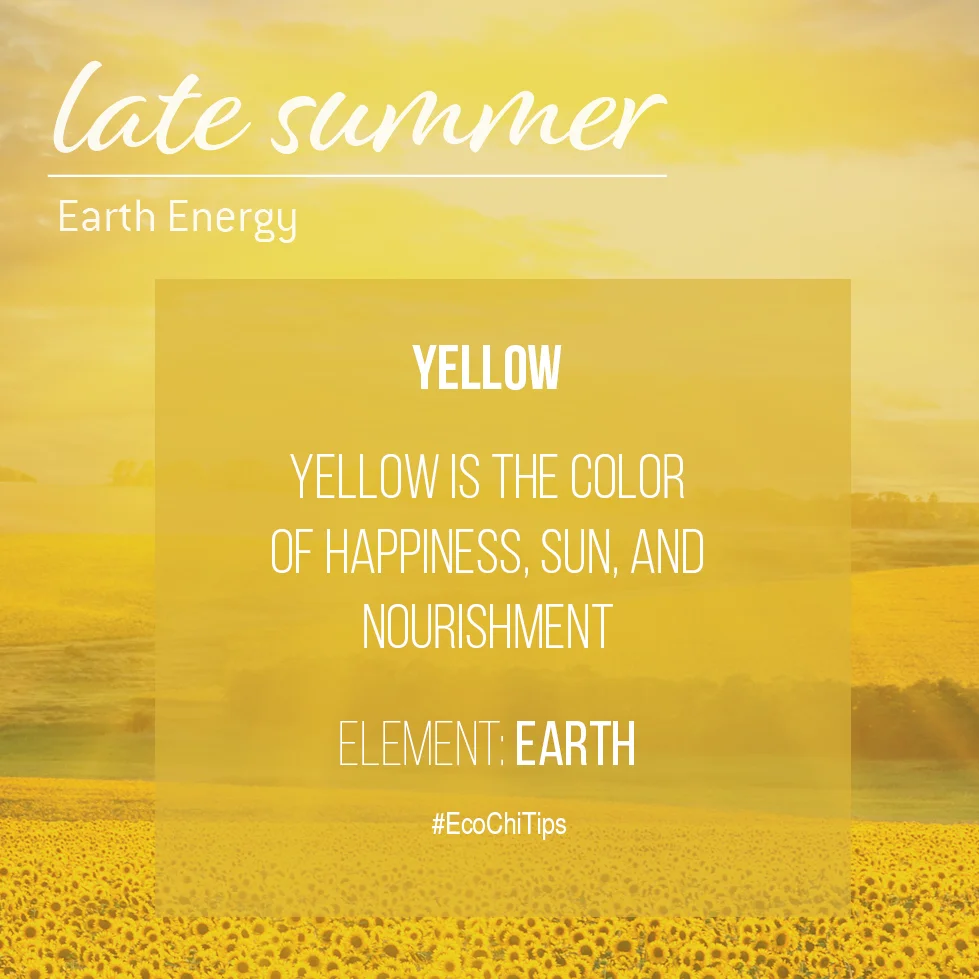 Summer Element Images_EcoChi Tips.jpg