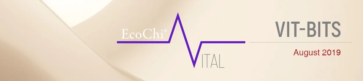 Title Block_Vit-Bits_August 2019_2.jpg