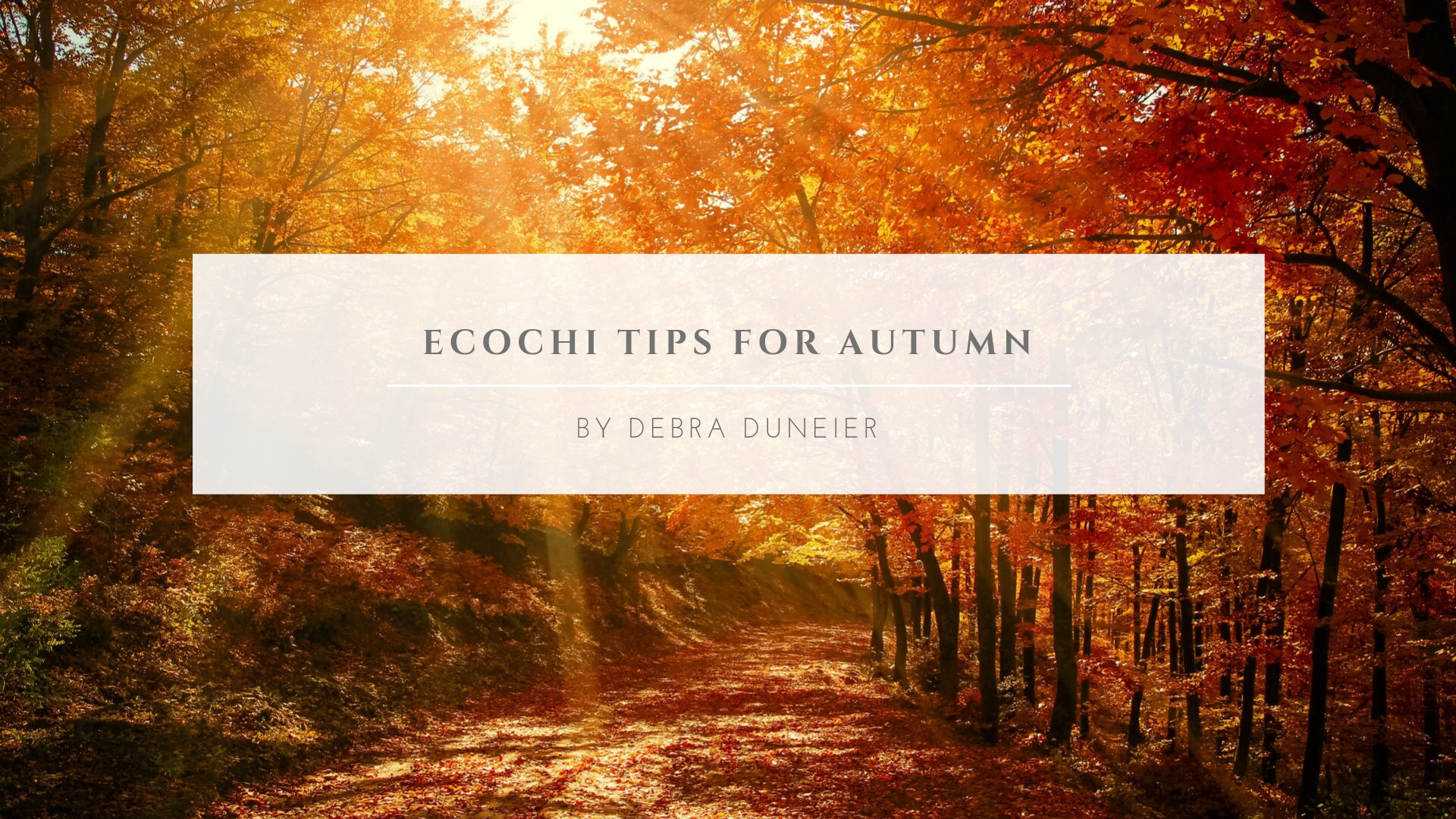 EcoChi Tips for Autumn.png