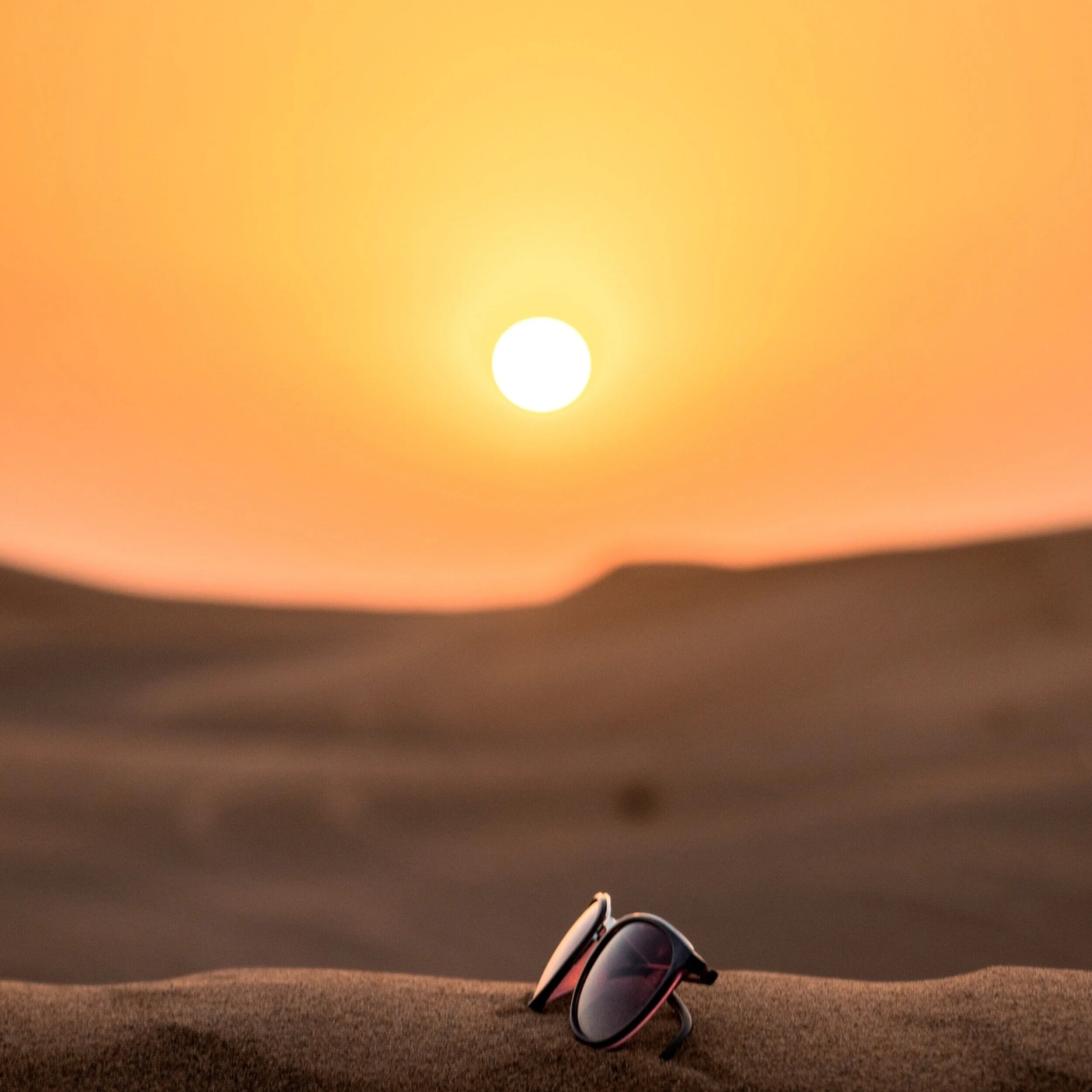 close-up-dawn-daylight-712395.jpg